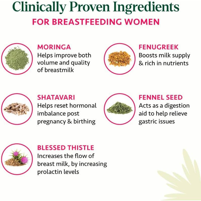 60 Kapsul Suplemen Menyusui Ay - Ayurvedic & Herbal Wellness Kits ulasan dan harga