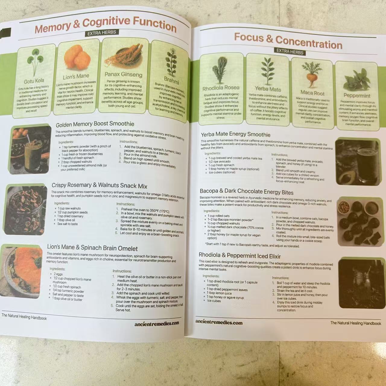 Buku Panduan Penyembuhan Alami - Herbal Wellness Guide ulasan dan harga