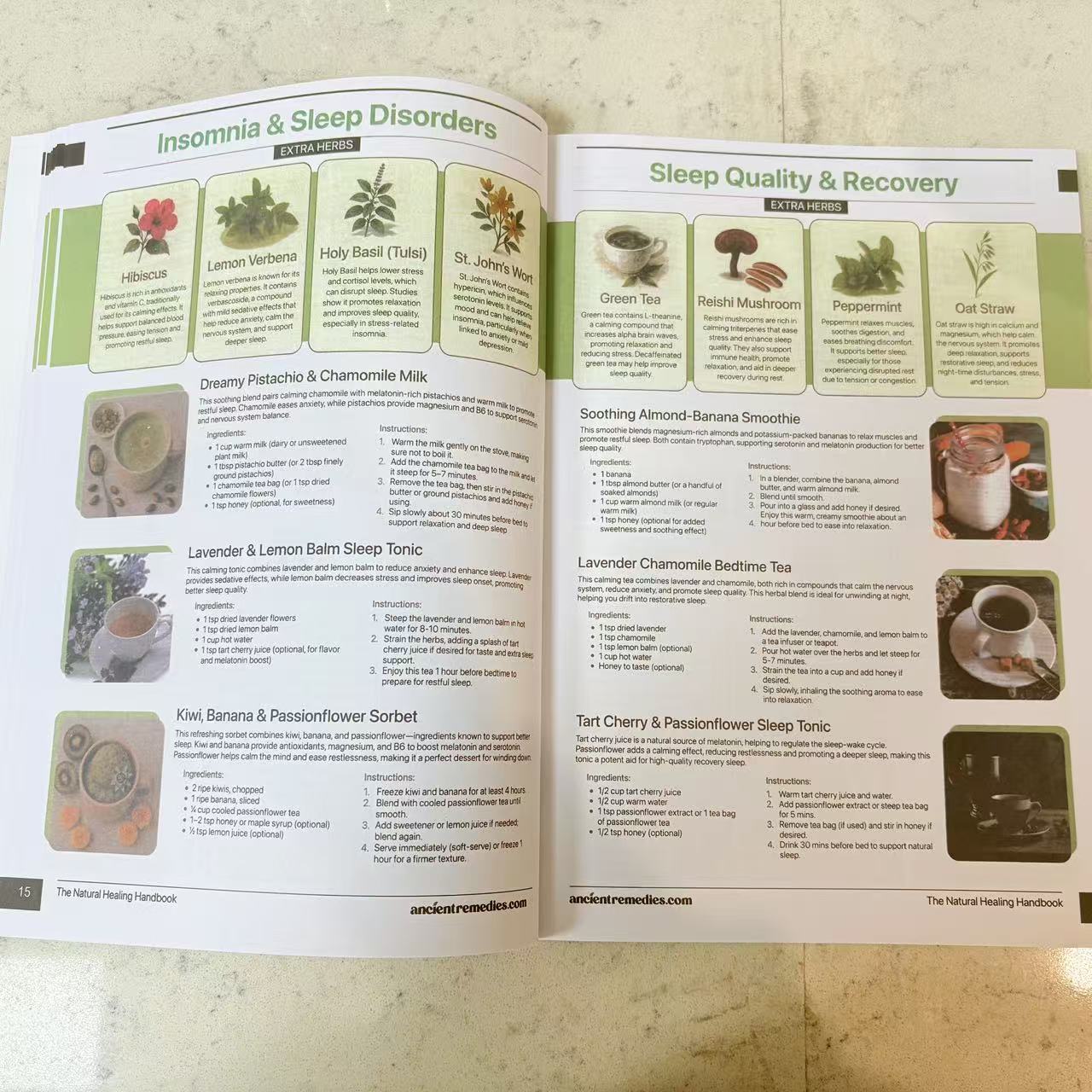 Buku Panduan Penyembuhan Alami - Herbal Wellness Guide ulasan dan harga