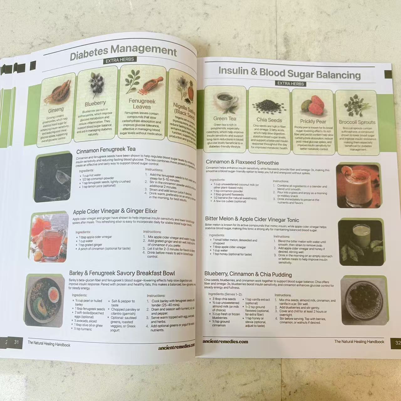 Buku Panduan Penyembuhan Alami - Herbal Wellness Guide ulasan dan harga